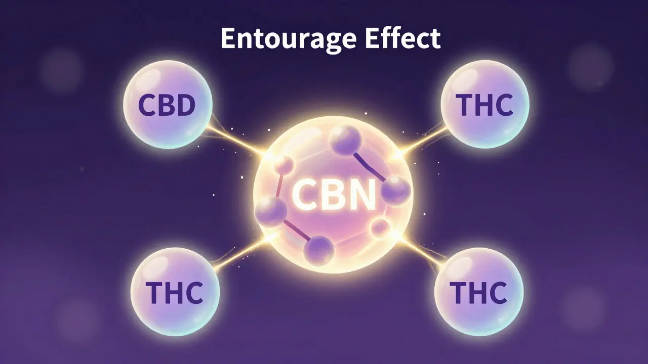 Konceptuální ilustrace synergie kanabinoidů CBN, CBD a THC.