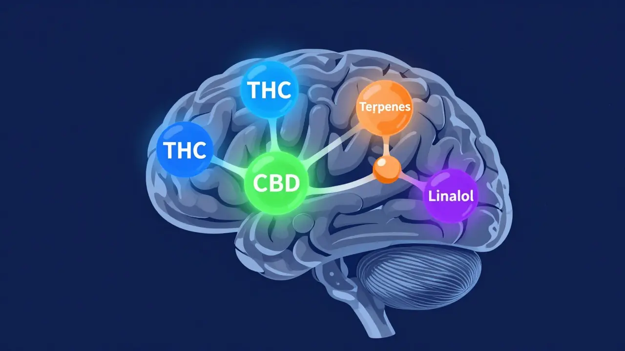 Abstraktní vizualizace chemických složek THC, CBD a terpenů v mozku